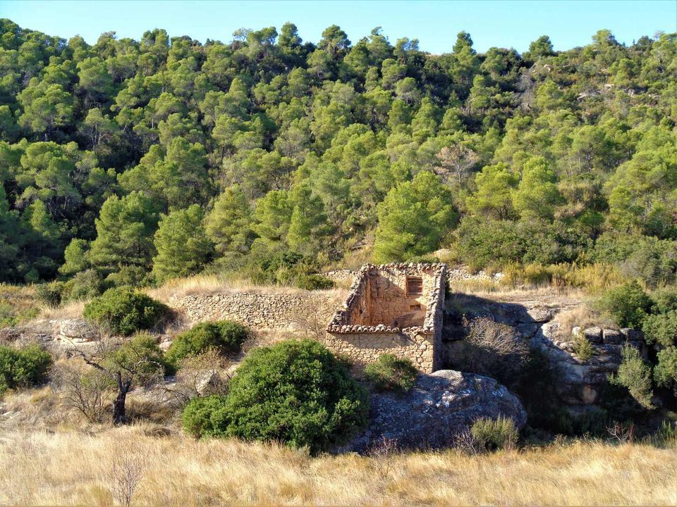 Finca i Maella, Zaragoza - bilde 1
