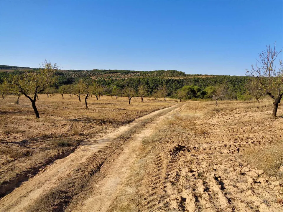 Finca i Maella, Zaragoza - bilde 2