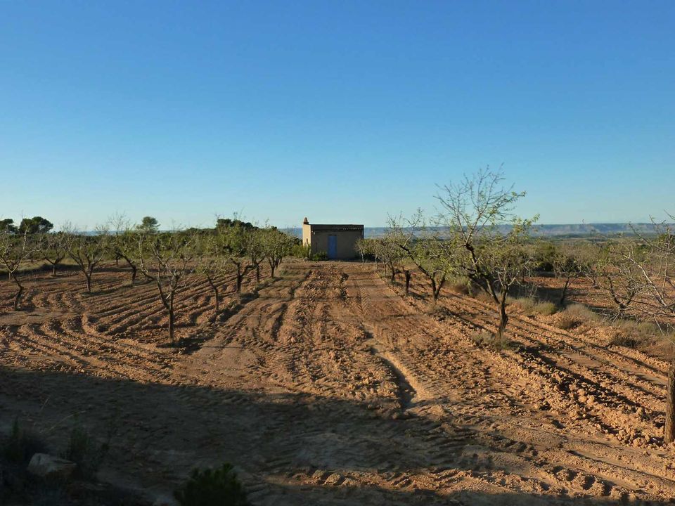 Finca i Fabara, Zaragoza - foto 3