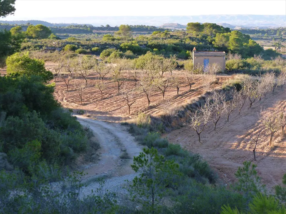 Finca i Fabara, Zaragoza - foto 1