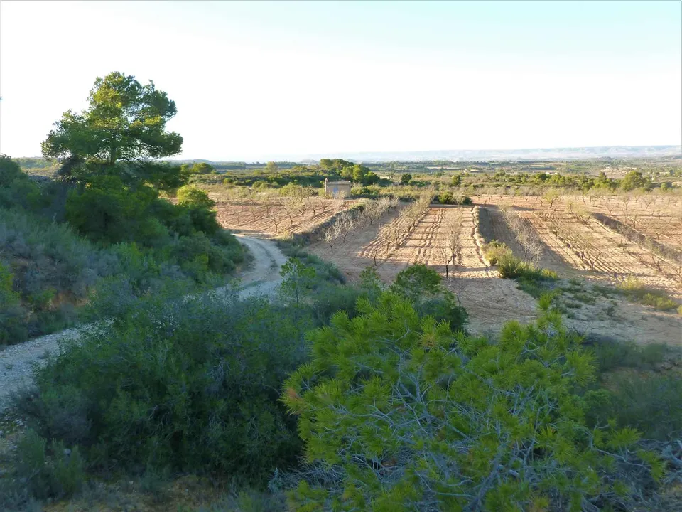 Finca i Fabara, Zaragoza - foto 2