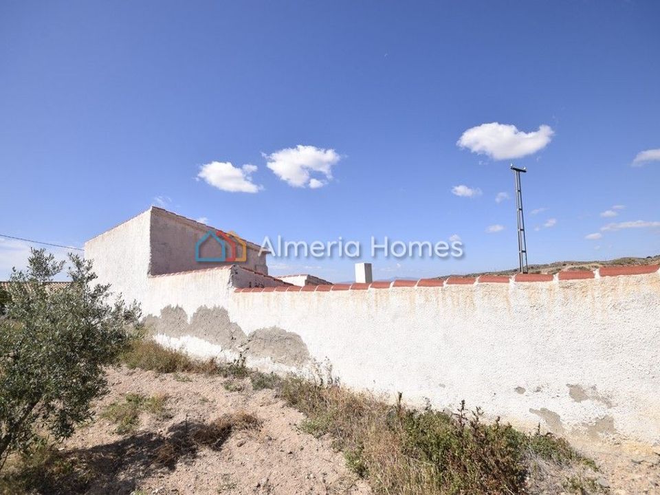 Landejendom i Albox, Almeria - foto 3