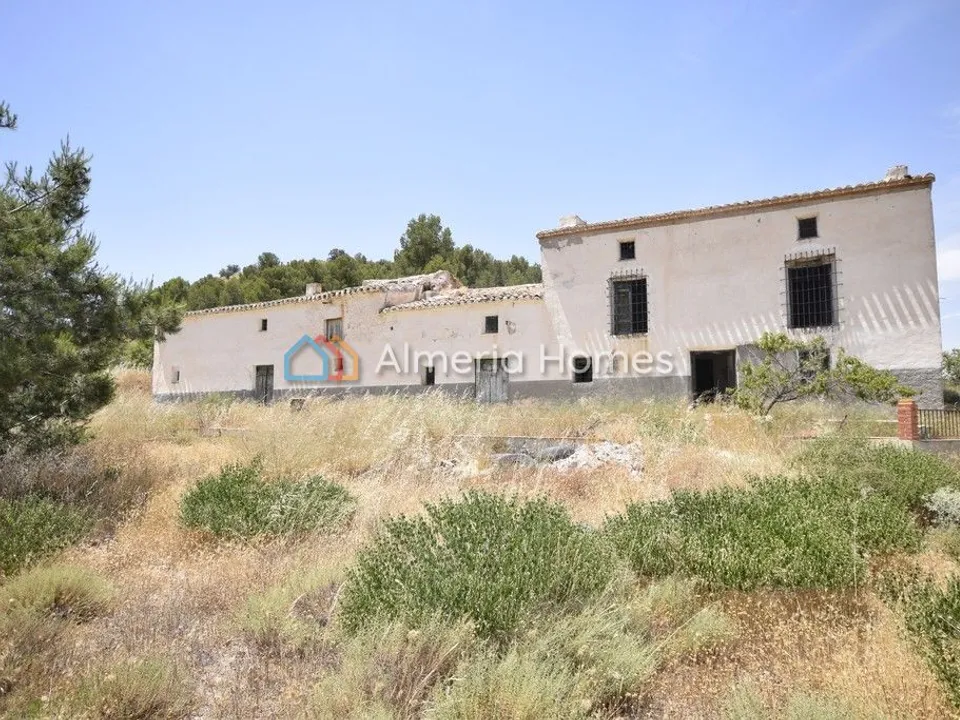 Landejendom i Velez-Rubio, Almeria - foto 1