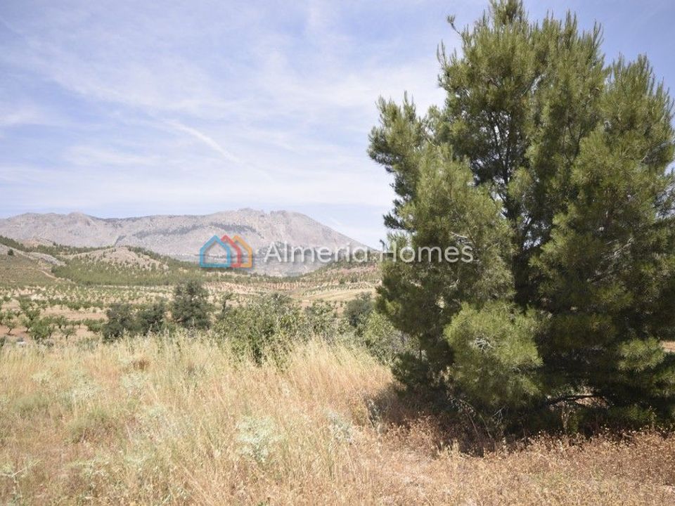 Landejendom i Velez-Rubio, Almeria - foto 2