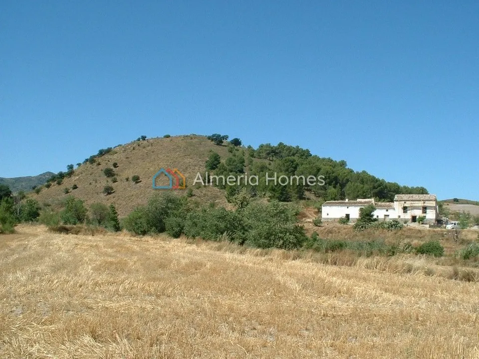 Landejendom i Velez-Rubio, Almeria - foto 3