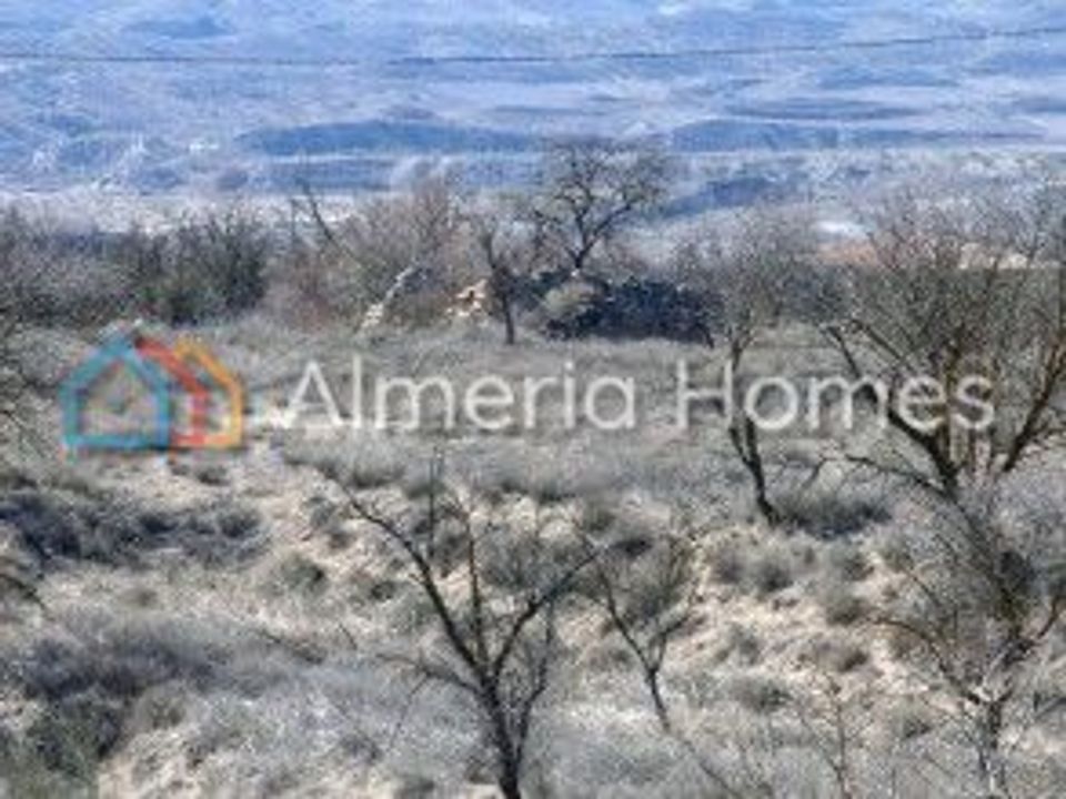 Herregård i Seron, Almeria - bilde 4