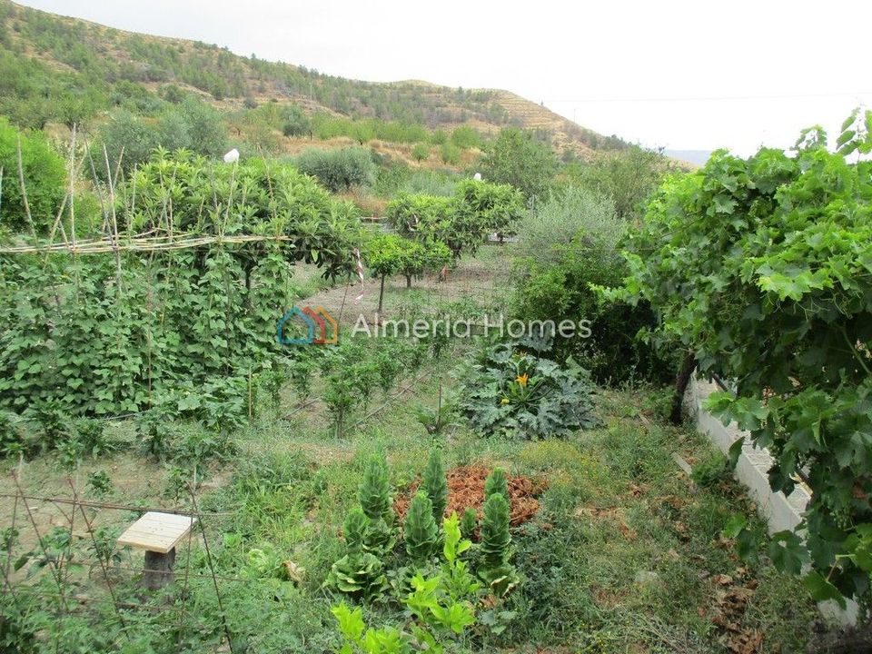 Herregård i Sufli, Almeria - bilde 4