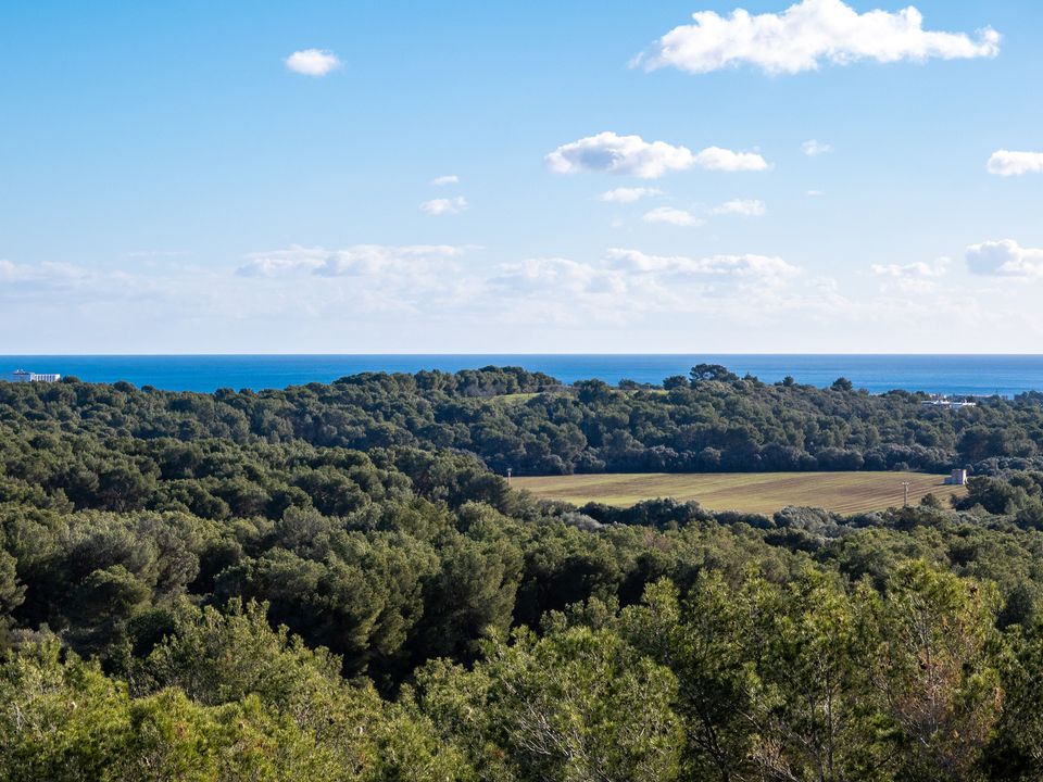 Finca i Cala Murada, Mallorca - foto 4