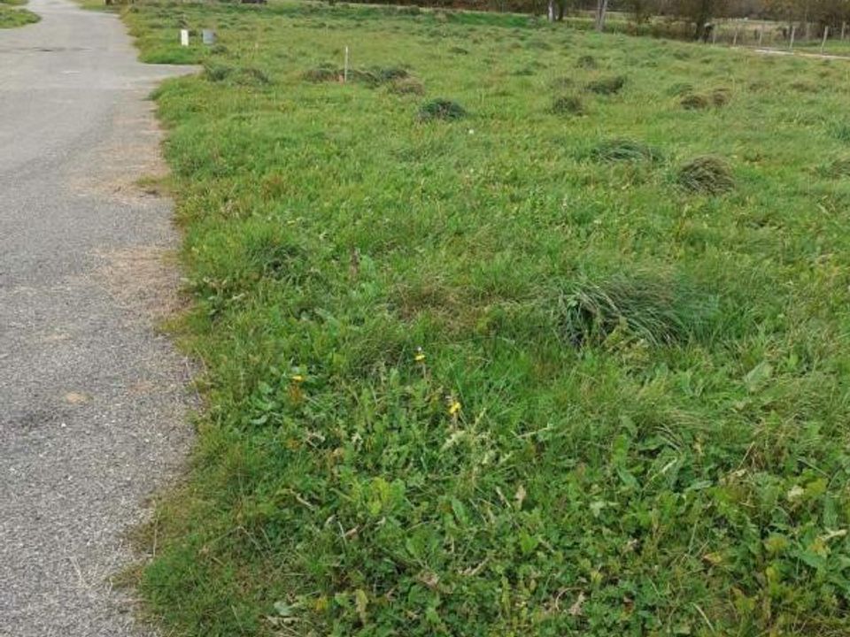 Helårsgrund i Parigne, Ille-et-Vilaine - foto 4