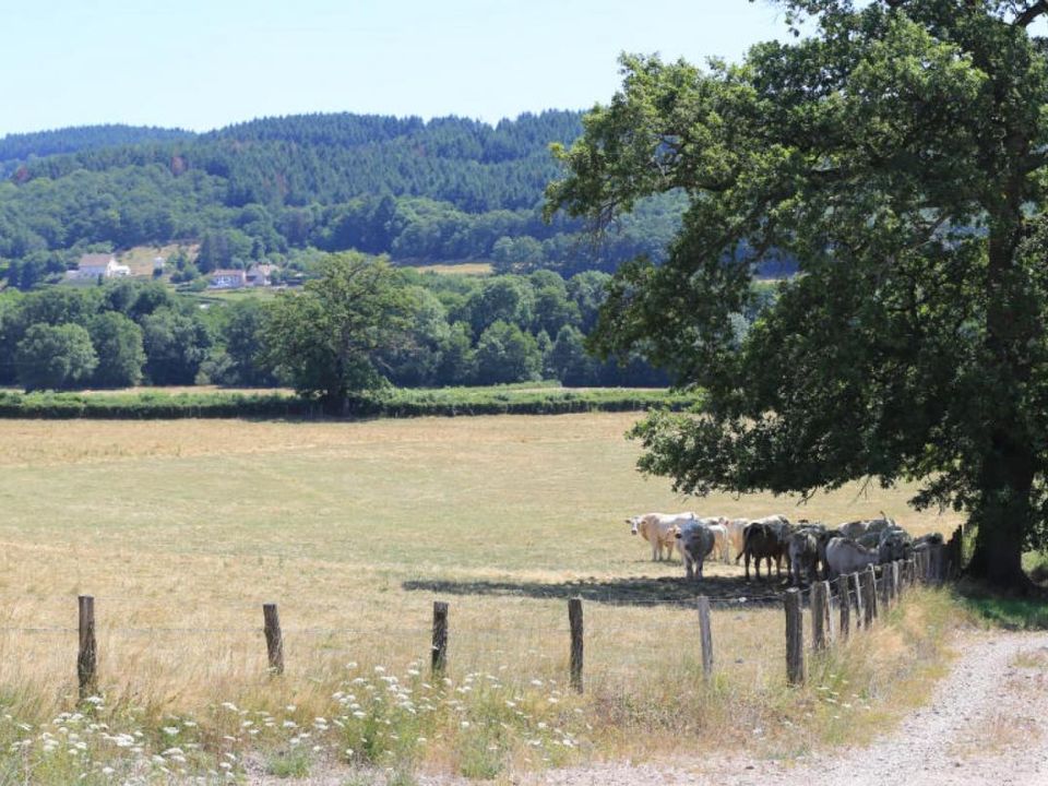 Helårsgrund i Sommant, Saone-et-Loire - foto 1