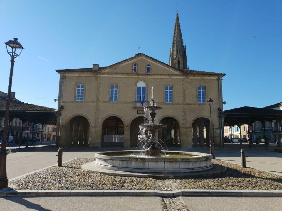 Erhvervsejendom i Trie-Sur-Baise, Hautes-Pyrenees - foto 5