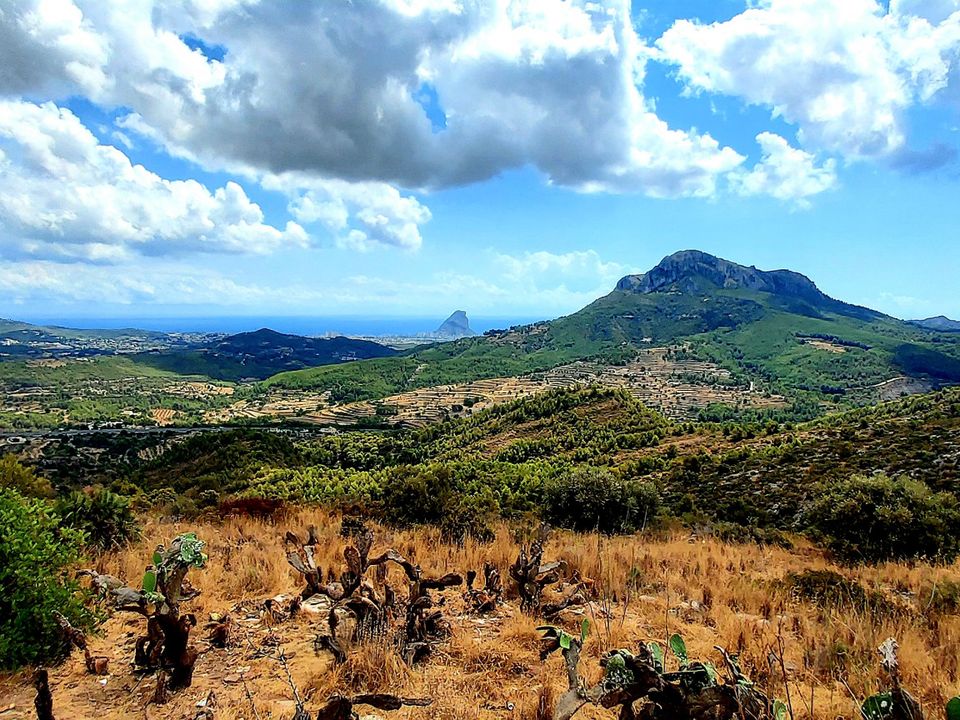 Finca i Benissa, Alicante - foto 4