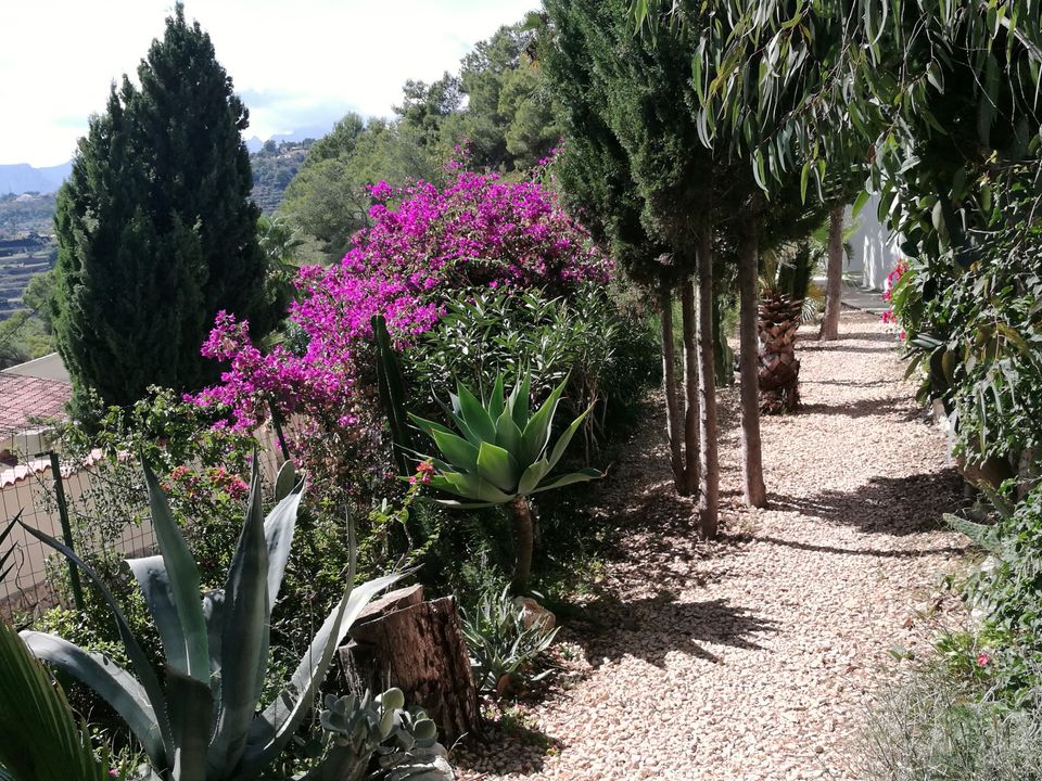 Villa i Benissa, Alicante - foto 5
