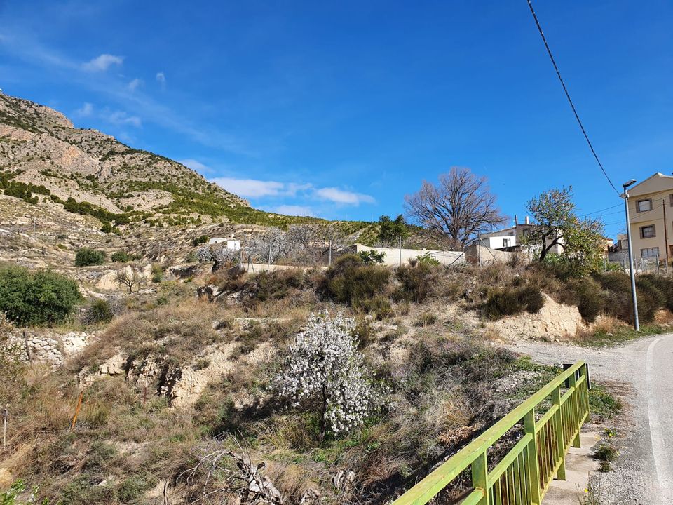 Landejendom i Fortuna, Murcia - foto 4