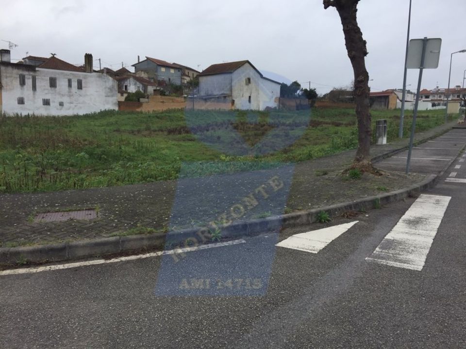 Erhvervsejendom i Anadia, Aveiro - foto 5