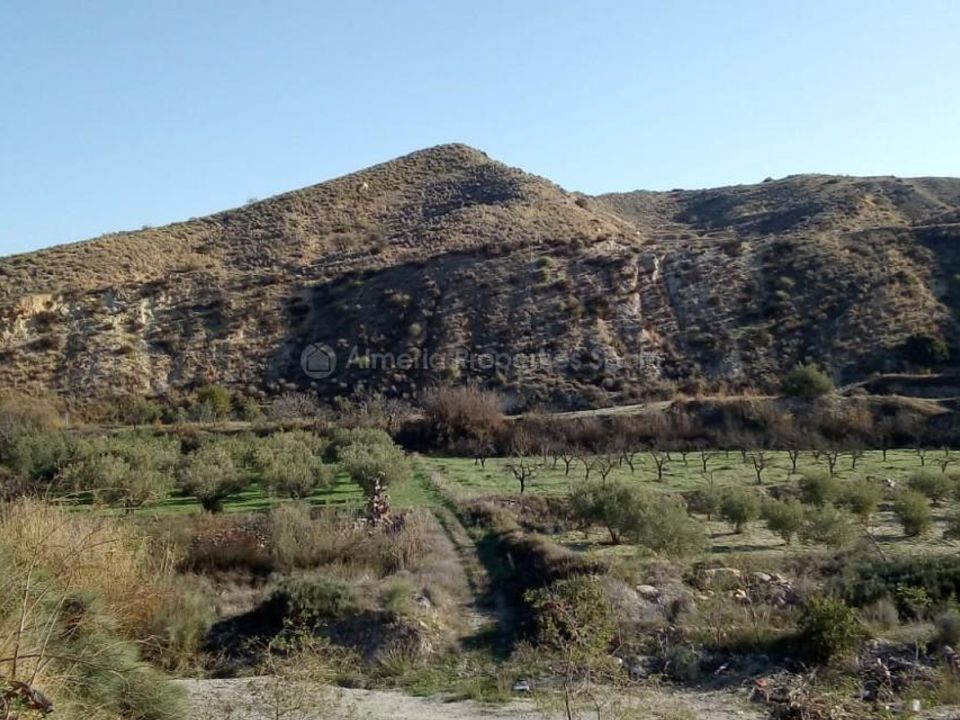 Farm hus i Arboleas, Almeria - foto 3