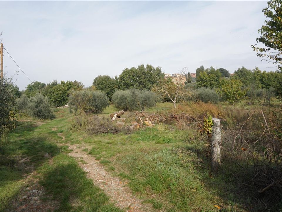 Boerderij in Sinalunga, Siena - foto 5