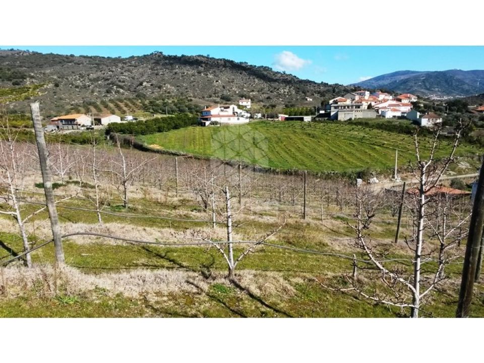 Farm i Vila Flor, Braganca - foto 1