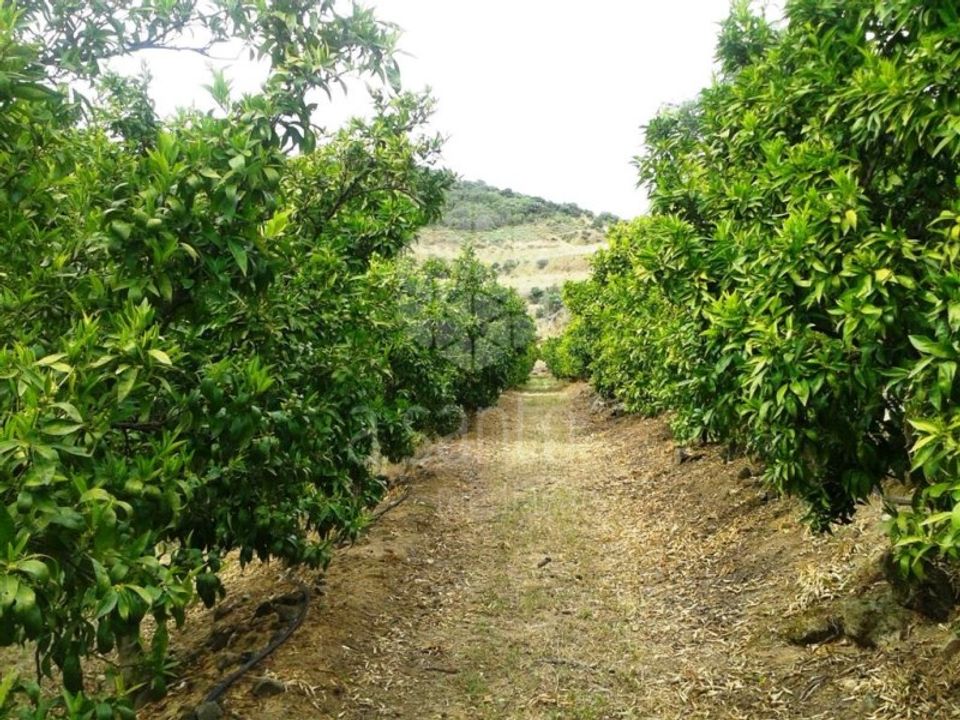 Farm i Vila Flor, Braganca - foto 4
