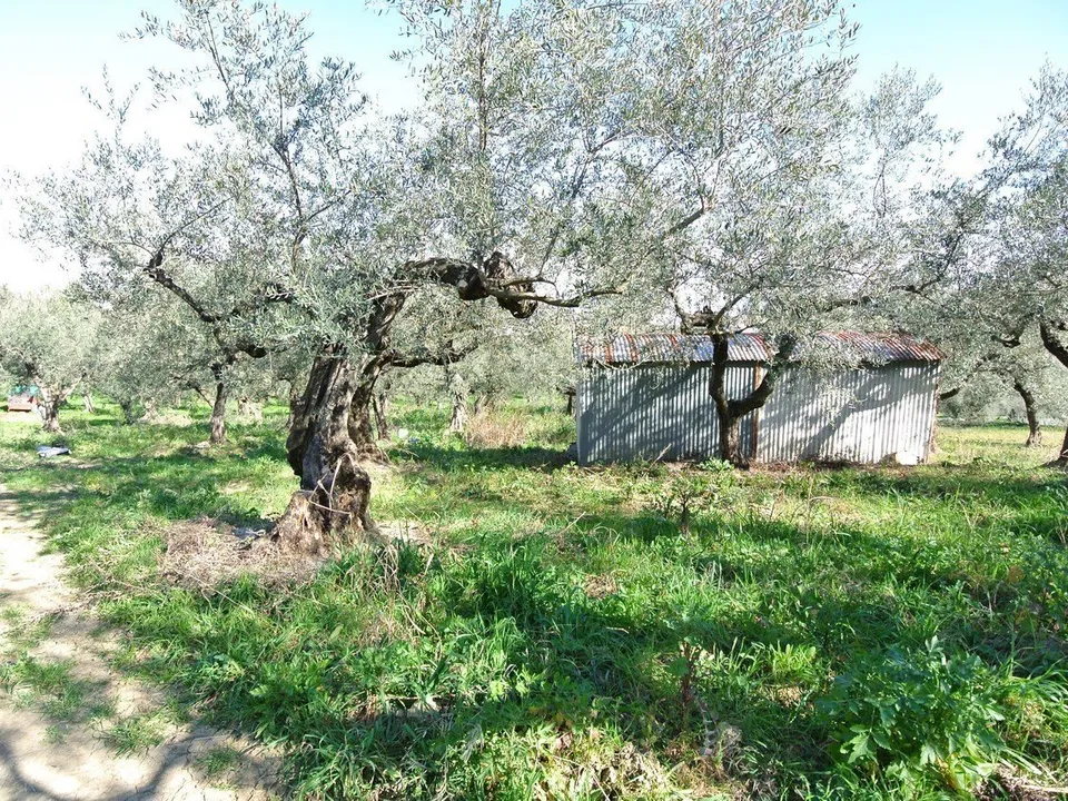 Masia a Moscufo, Pescara - foto 3