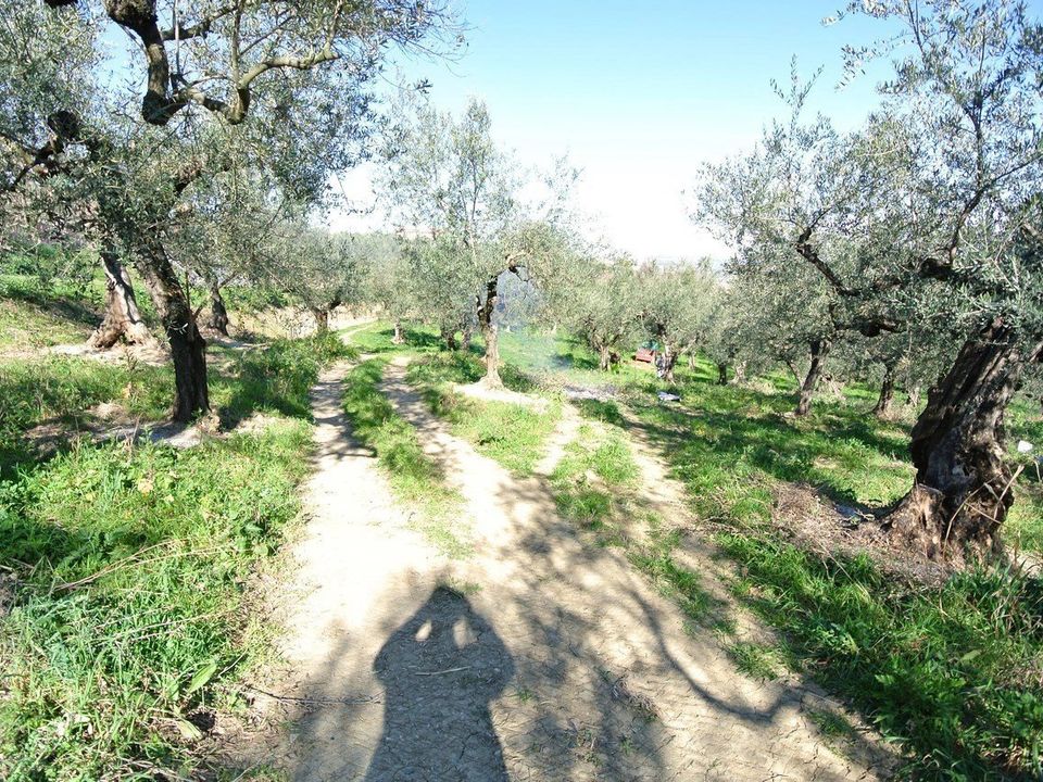 Masia a Moscufo, Pescara - foto 2