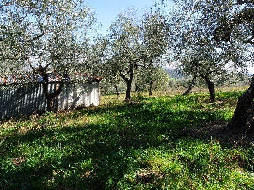 Masia a Moscufo, Pescara - foto 4