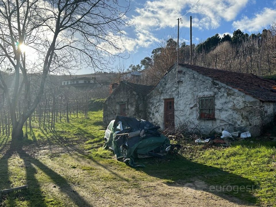 Tomt i Cepoes, Viseu - bilde 1