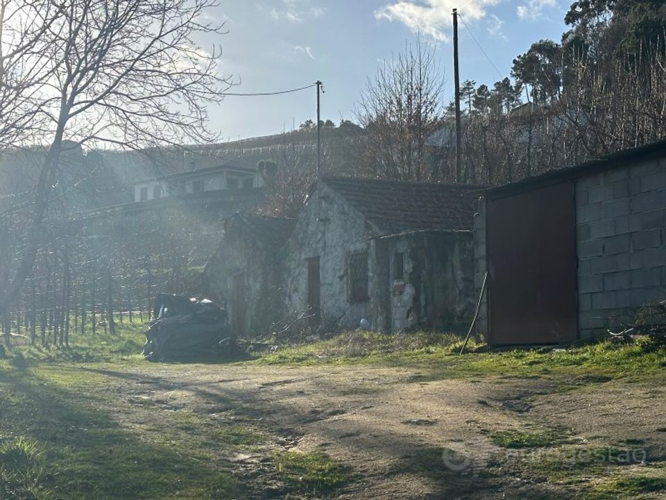 Tomt i Cepoes, Viseu - bilde 2