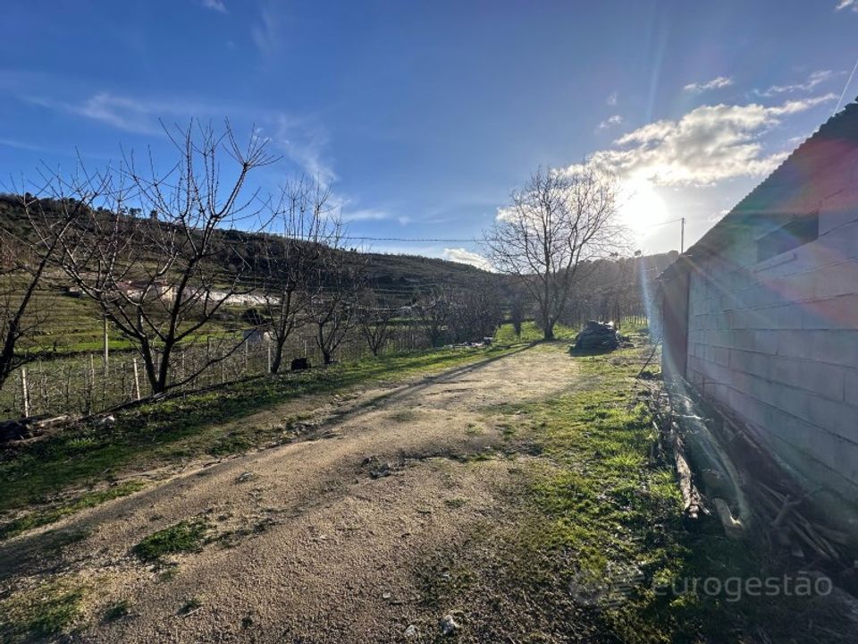 Tomt i Cepoes, Viseu - bilde 3