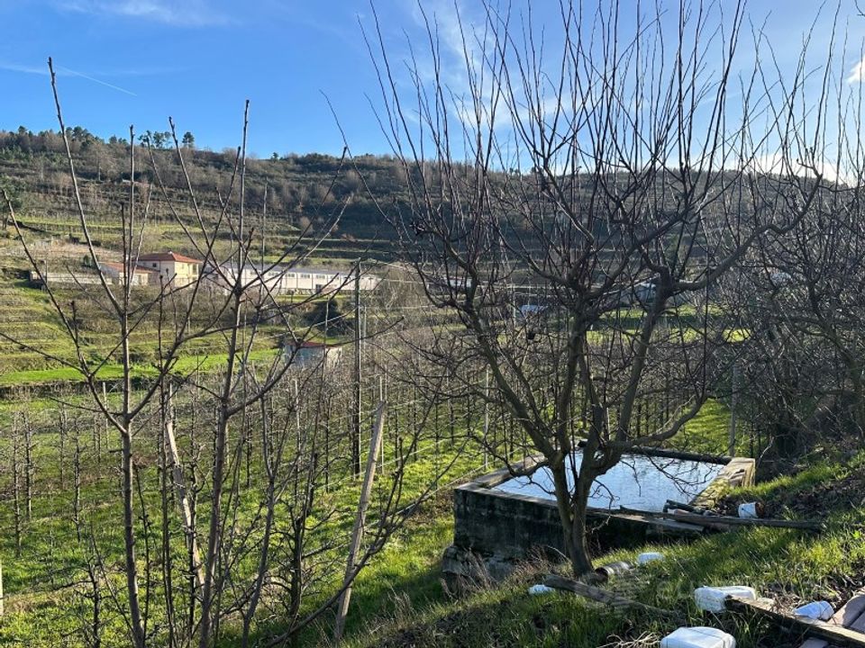 Tomt i Cepoes, Viseu - bilde 4