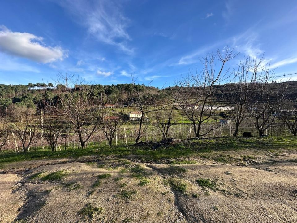 Tomt i Cepoes, Viseu - bilde 5
