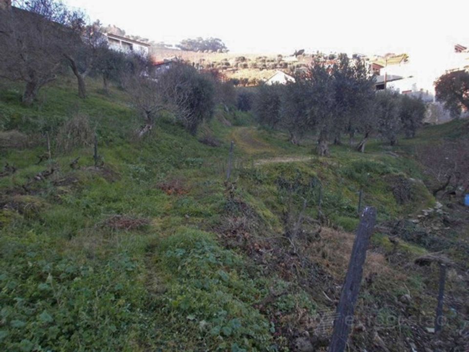 Tomt i Sao Joao da Pesqueira, Viseu - bilde 3