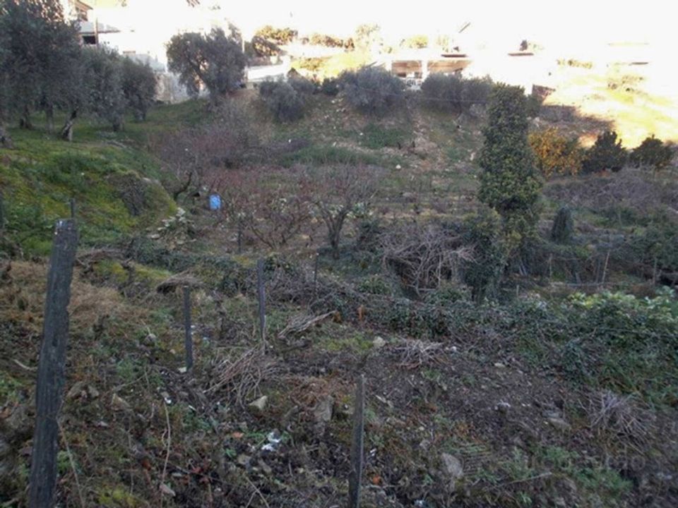 Tomt i Sao Joao da Pesqueira, Viseu - bilde 4