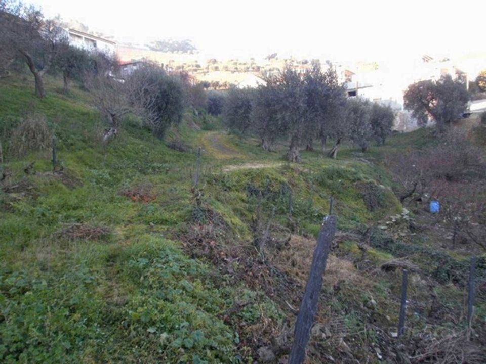 Tomt i Sao Joao da Pesqueira, Viseu - bilde 5