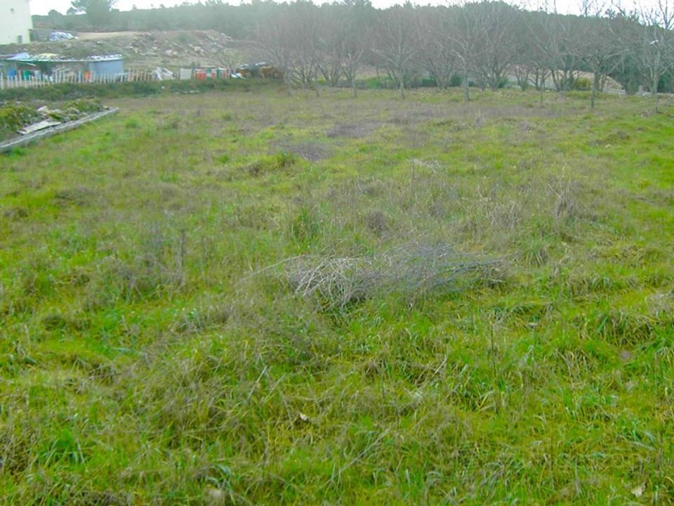 Helårsgrund i Moimenta da Beira, Viseu - foto 2