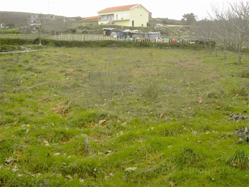 Helårsgrund i Moimenta da Beira, Viseu - foto 3