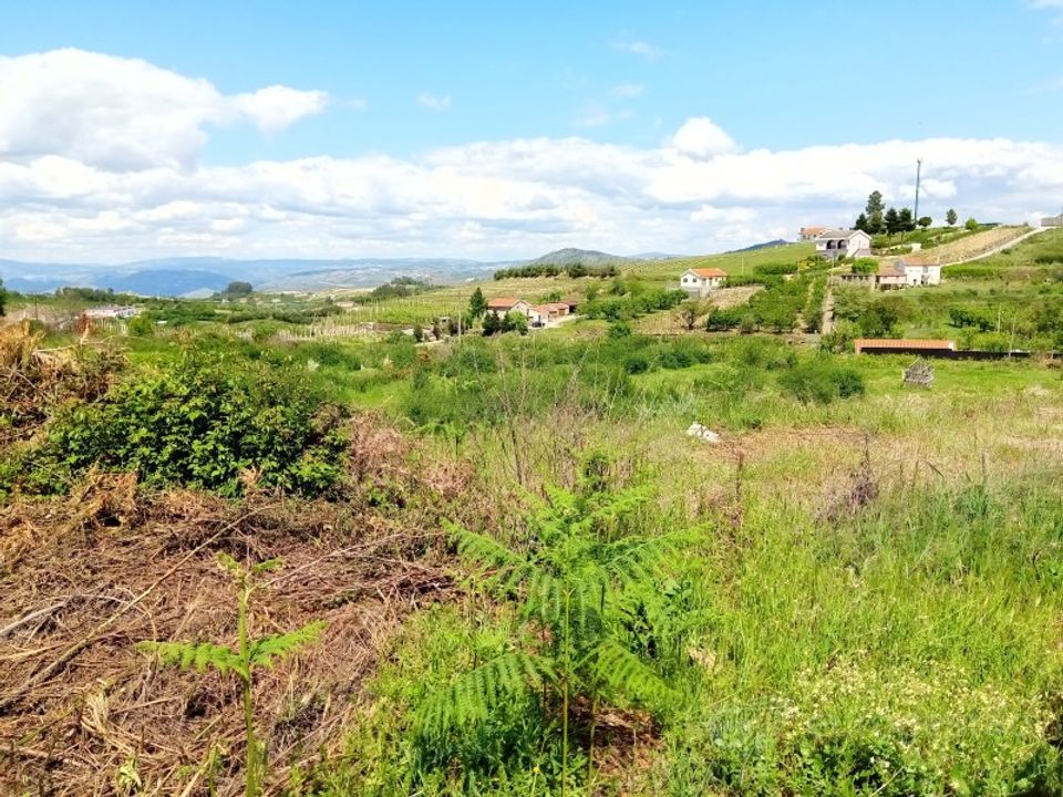 Tomt i Cepoes, Viseu - bilde 1