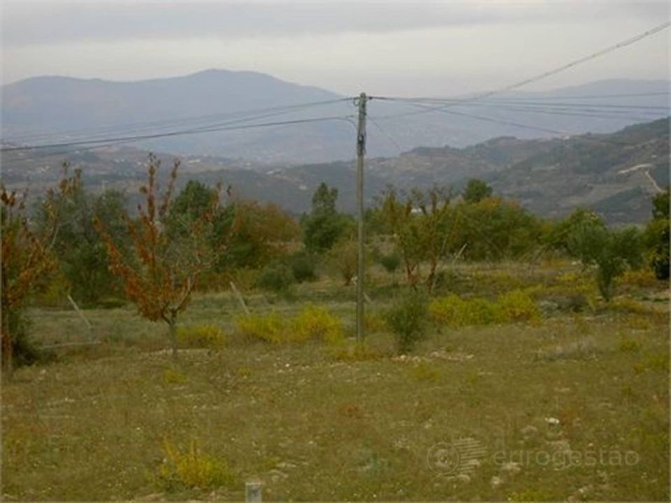 Tomt i Tarouca, Viseu - bilde 2