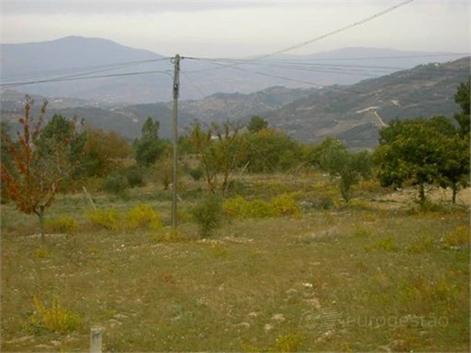 Tomt i Tarouca, Viseu - bilde 3