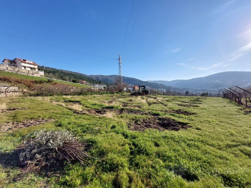 Farm i Tarouca, Viseu - foto 1