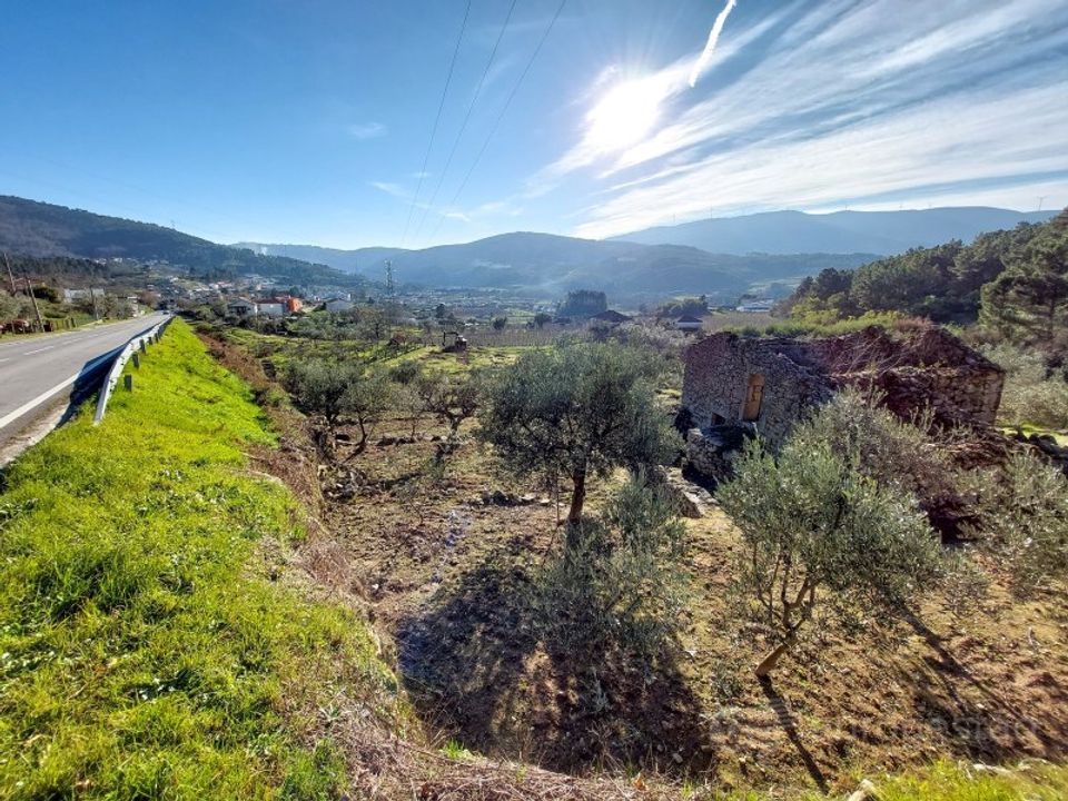 Farm i Tarouca, Viseu - foto 2