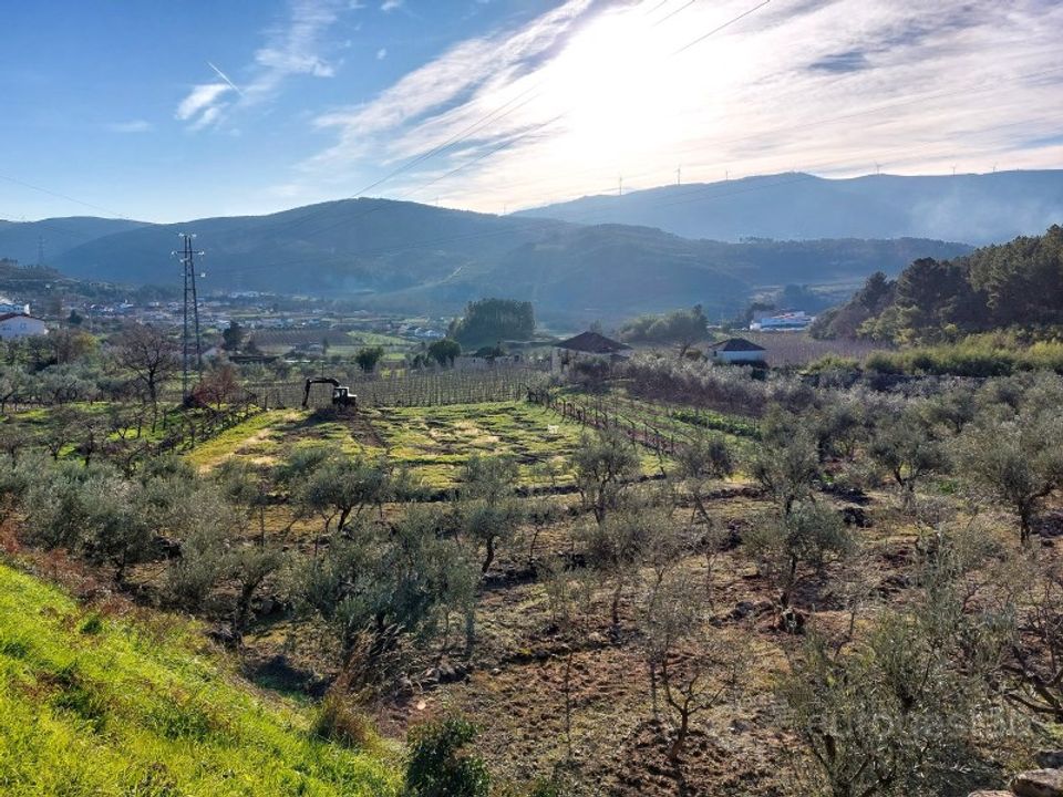 Farm i Tarouca, Viseu - foto 3