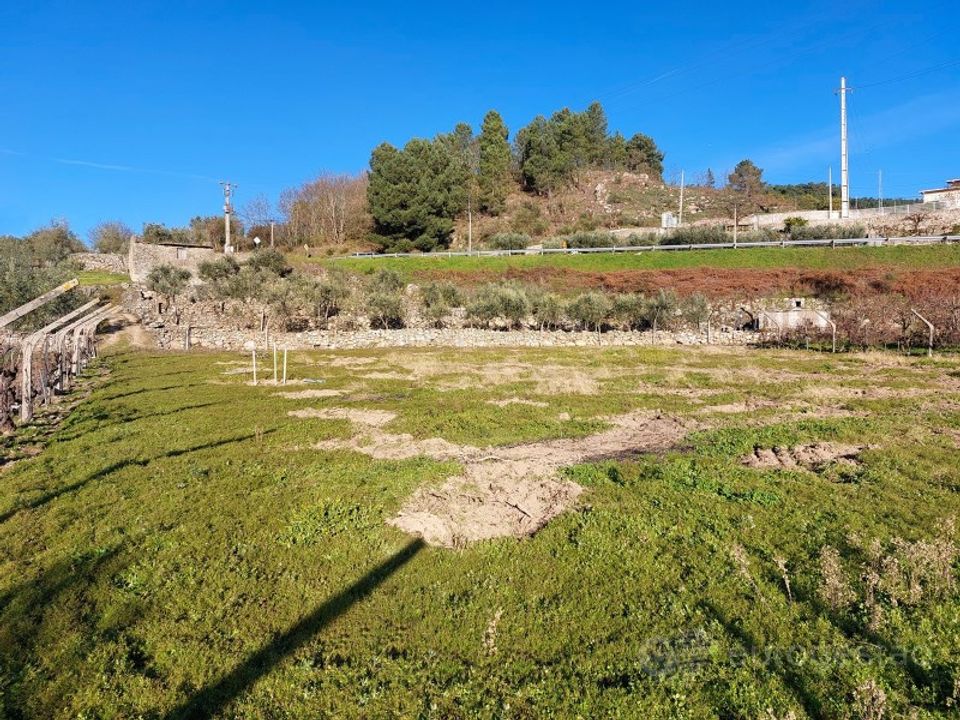 Farm i Tarouca, Viseu - foto 4