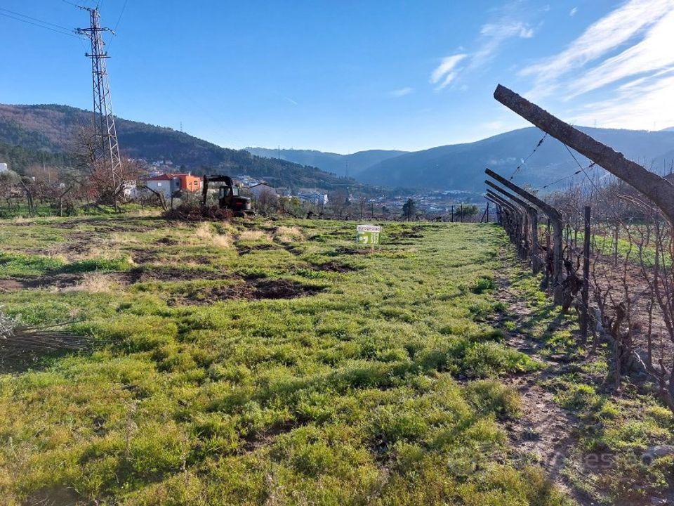 Farm i Tarouca, Viseu - foto 5