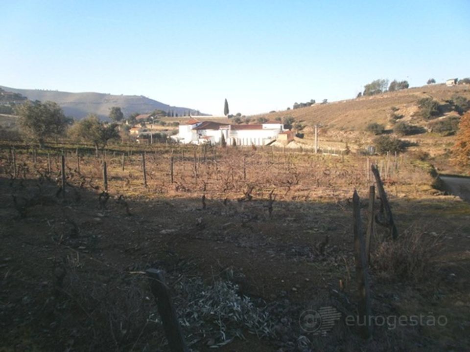 Helårsgrund i Sao Joao da Pesqueira, Viseu - foto 2