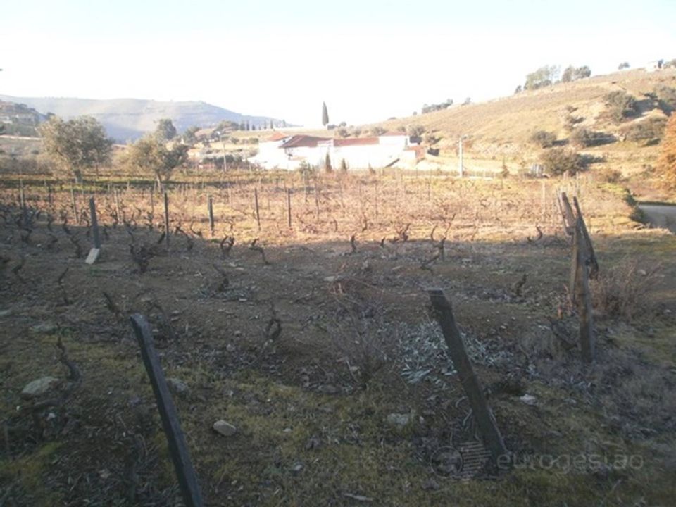 Helårsgrund i Sao Joao da Pesqueira, Viseu - foto 3