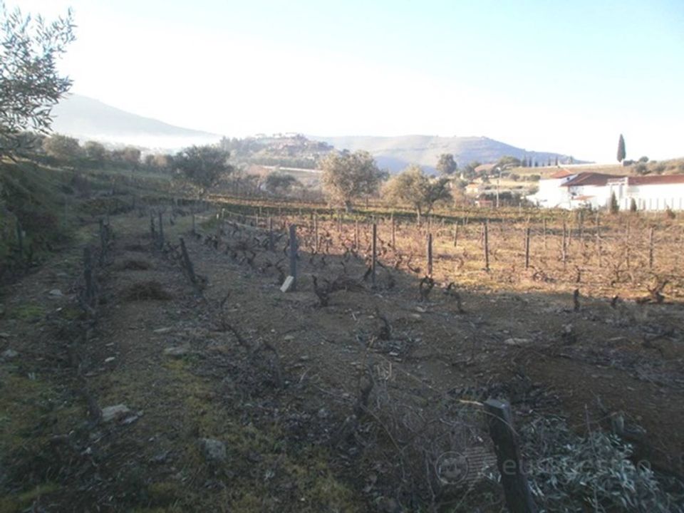 Helårsgrund i Sao Joao da Pesqueira, Viseu - foto 1