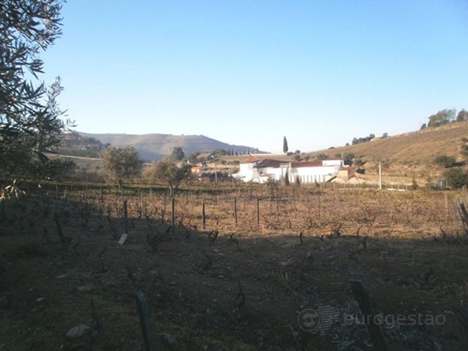 Helårsgrund i Sao Joao da Pesqueira, Viseu - foto 4