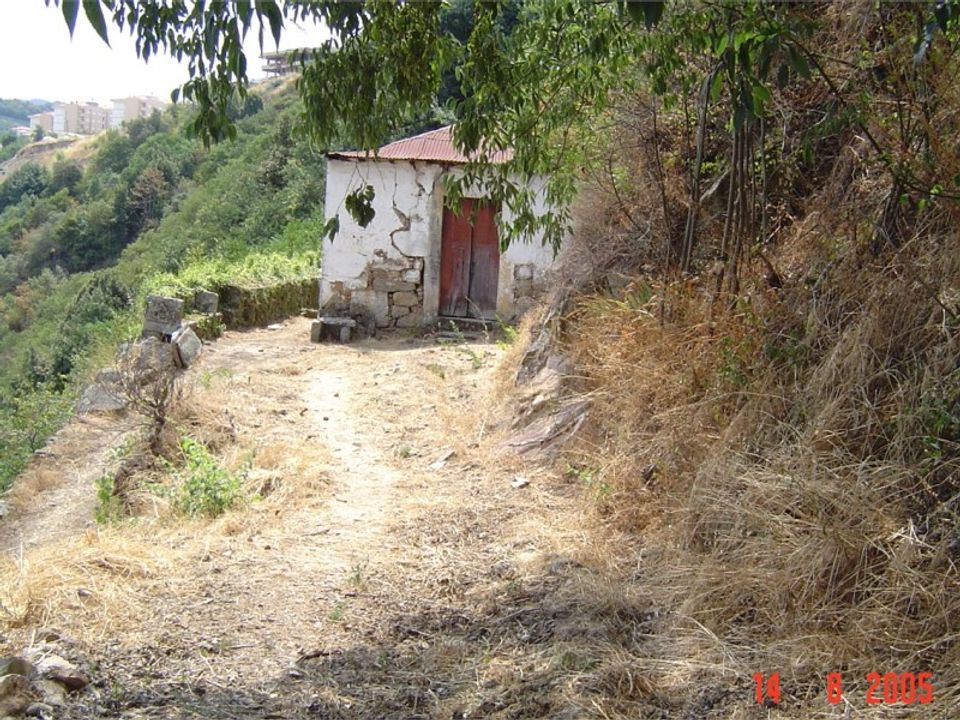 Farm i Lamego, Viseu - foto 2
