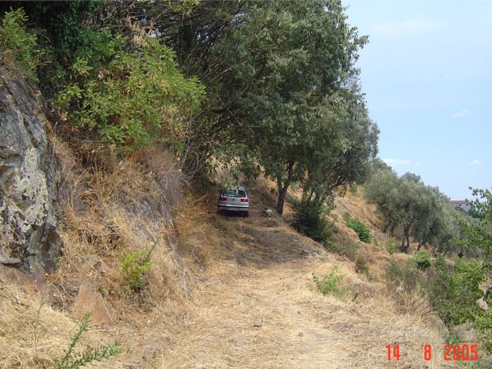 Farm i Lamego, Viseu - foto 4